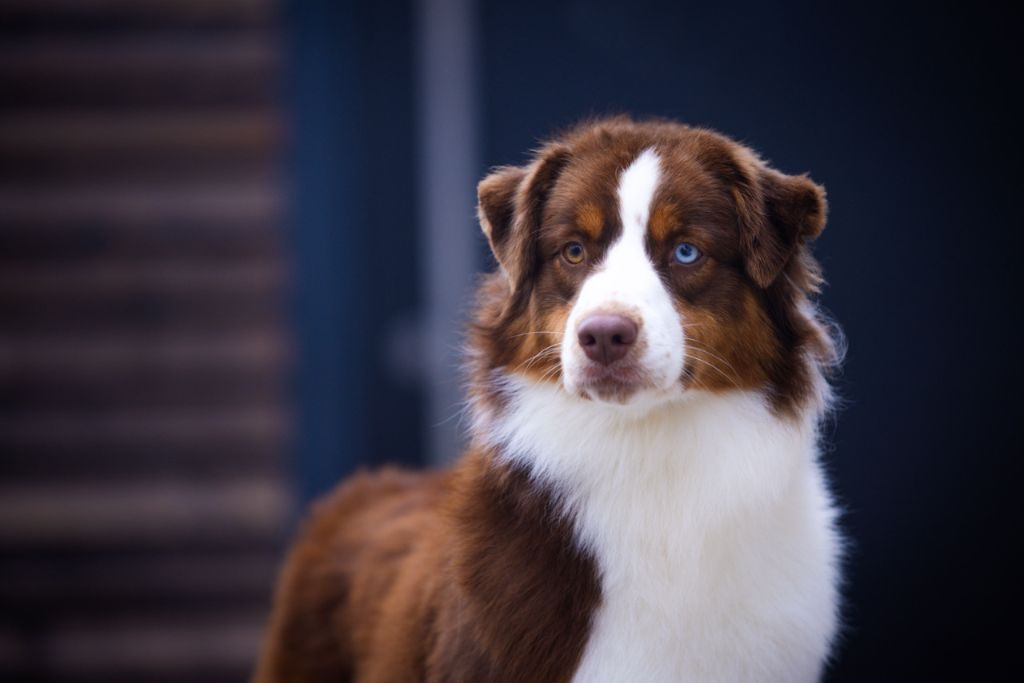 SHE GOT THE BEST OF ME (Sans Affixe)